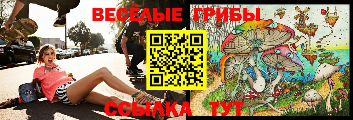 где найти   Псилоцибиновые грибы мухоморы  Вход с VPN  Ржев  Псилоцибиновые грибы GOLDEN TEACHER 